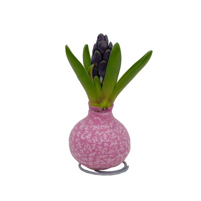 Hyazinthe in Wachs Pink Mix, pink mit Muster, 4 Stück Hyazinthe in Wachs Pink Mix, pink mit Muster, 4 Stück