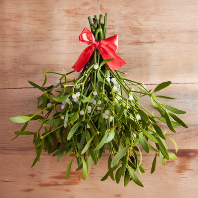 Misteln Handbund, natur, 5 Bund