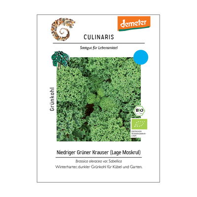 Grünkohlsamen, Grünkohl 'Niedriger Grüner Krauser' Grünkohlsamen, Grünkohl 'Niedriger Grüner Krauser'