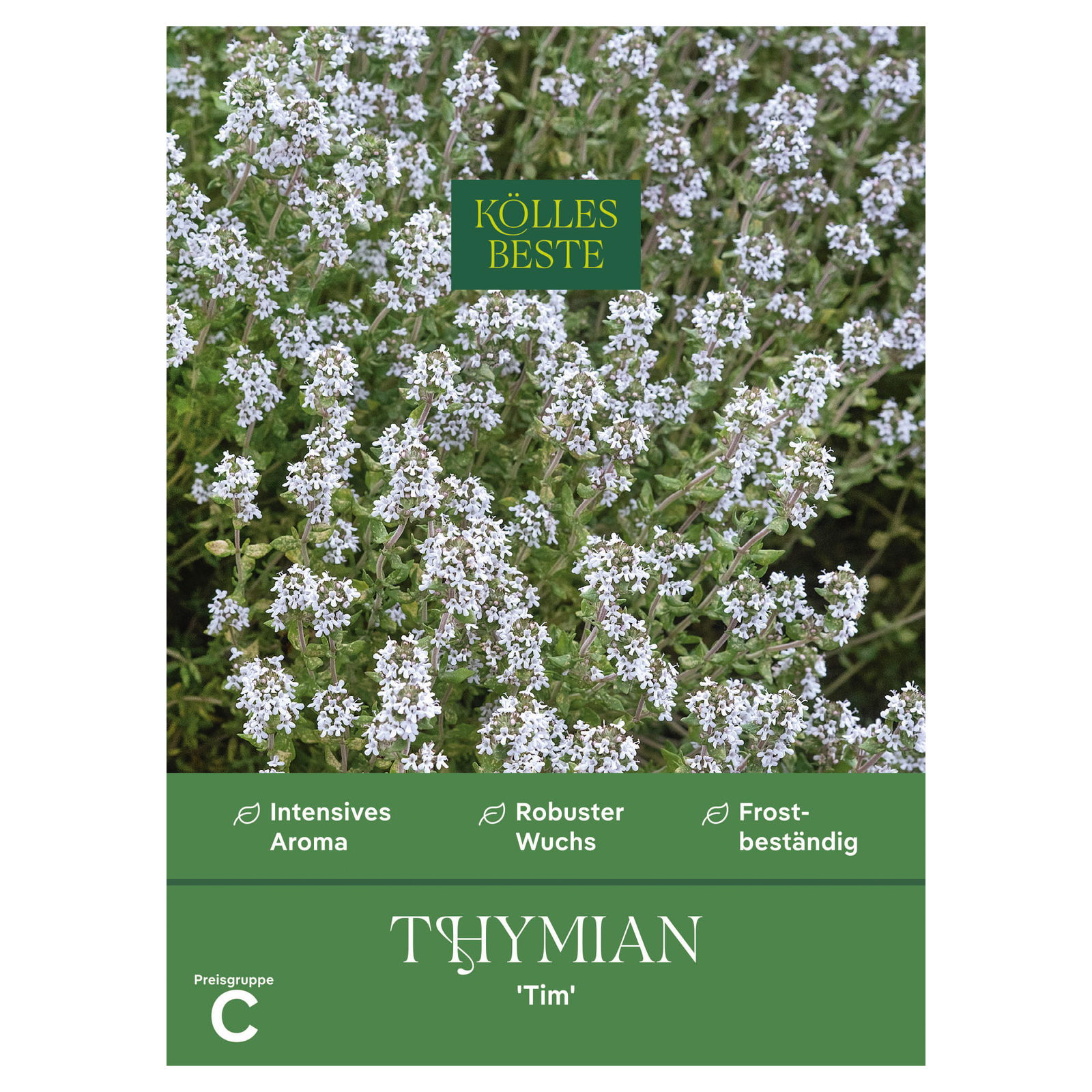 Kölles Beste Kräutersamen, Thymian 'Tim'