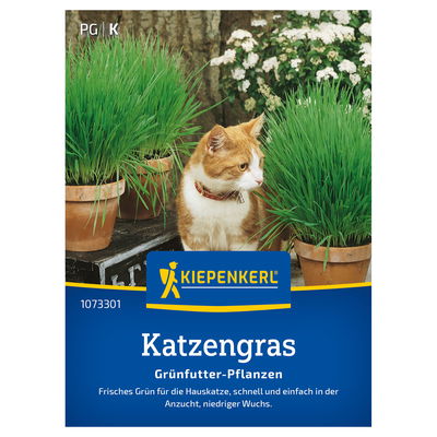 Kiepenkerl Saatgut Katzengras 'Frischgrün'