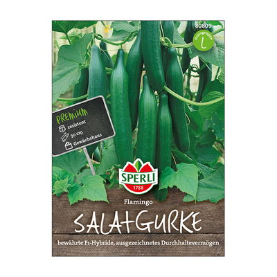 Gemüsesamen, Salatgurken 'Flamingo' Gemüsesamen, Salatgurken 'Flamingo'