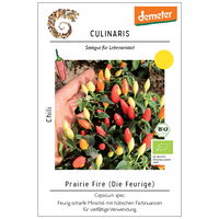 Thompson & Morgan Saatgut Chili 'Prairie on Fire', bunt