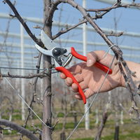 Felco Gartenschere Nr. 2