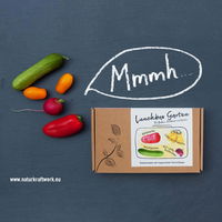 Mini-Gemüse' Saatgut: Balkonpaprika, Snackgurken, Obsttomaten, Radieschen