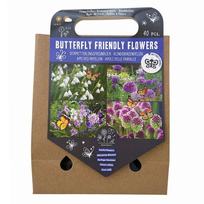 Blumenzwiebelmischung 'Schmetterlingsfreundliche Blumen A',  40 Blumenzwiebeln Blumenzwiebelmischung 'Schmetterlingsfreundliche Blumen A',  40 Blumenzwiebeln