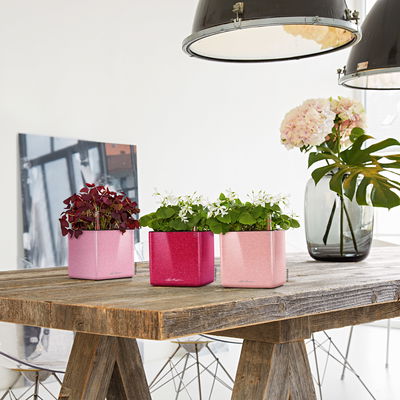 Lechuza 'Cube Glossy Kiss 14', Cashmere Cream Highgloss Glitter Lechuza 'Cube Glossy Kiss 14', Cashmere Cream Highgloss Glitter