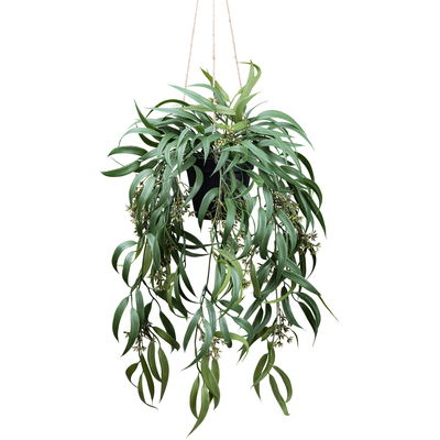 Kunstpflanze Eukalyptus globulus, Höhe ca. 65 cm