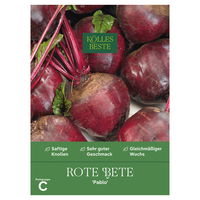 Kölles Beste Gemüsesamen Rote Rüben 