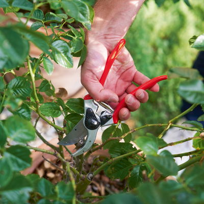 Felco Gartenschere Nr. 2