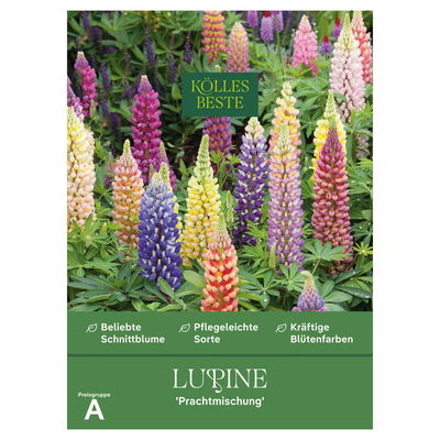 Kölles Beste Blumensamen, Lupine 'Prachtmischung'