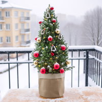 Weihnachtsbäumchen inkl. Deko, rot-gold, Höhe ca. 80 cm, Topf-Ø 25 cm Weihnachtsbäumchen inkl. Deko, rot-gold, Höhe ca. 80 cm, Topf-Ø 25 cm