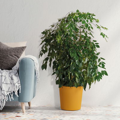 Euro 3 Plast Pflanzgefäß 'Fyre', mango, ca. Ø 40 x H 39 cm