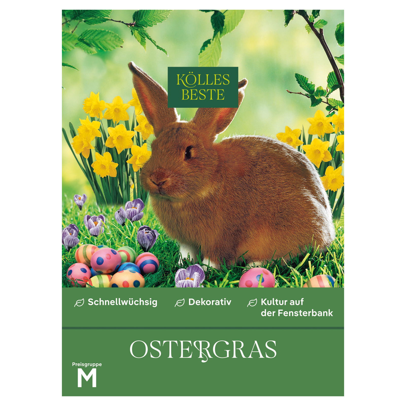 Kölles Beste Saatgut, Ostergras