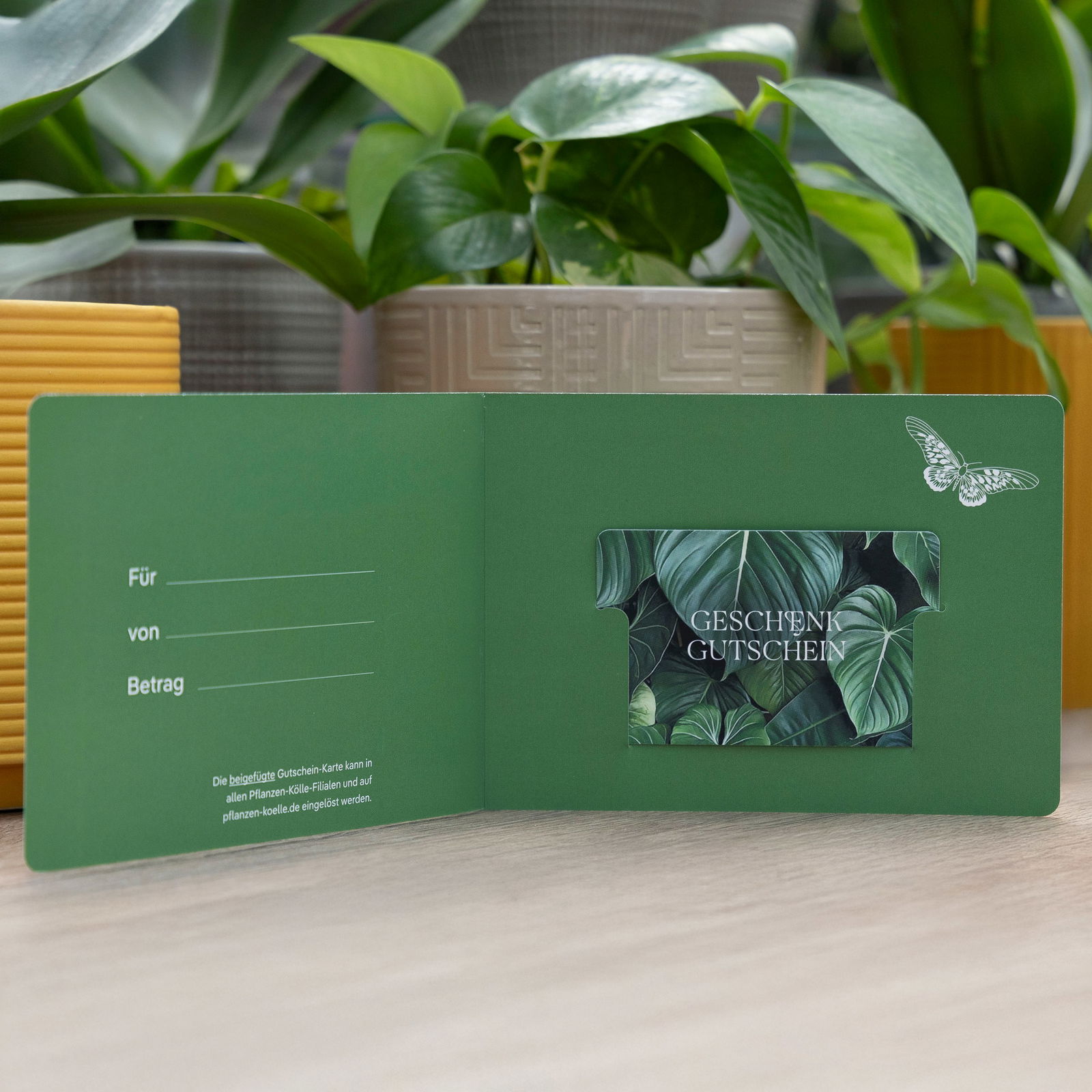 Gutschein-Karte 'Blatt' Gutschein-Karte 'Blatt'