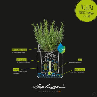 Lechuza 'Cube Color 16', schiefergrau, ca. 17 x 17 x H 16 cm Lechuza 'Cube Color 16', schiefergrau, ca. 17 x 17 x H 16 cm