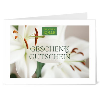 Gutschein zum Ausdrucken 'Lilie'