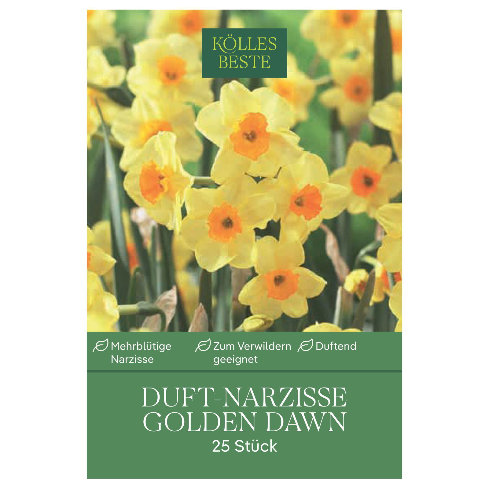 Botanische Narzissen 'Golden Dawn', gelb-orange, 25 Blumenzwiebeln Botanische Narzissen 'Golden Dawn', gelb-orange, 25 Blumenzwiebeln