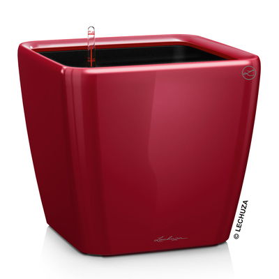 Lechuza 'Quadro LS 21', scarlet-rot, ca. 21 x 21 x H 20 cm