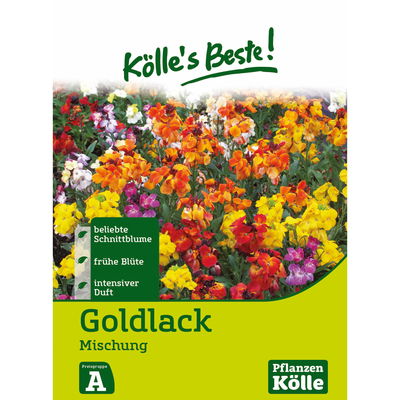 Kölles Beste Blumensamen Goldlack Mix (Cheiranthus) Kölles Beste Blumensamen Goldlack Mix (Cheiranthus)