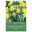 Botanische Narzissen Rip van Winkle gelb, 10 Blumenzwiebeln Botanische Narzissen Rip van Winkle gelb, 10 Blumenzwiebeln