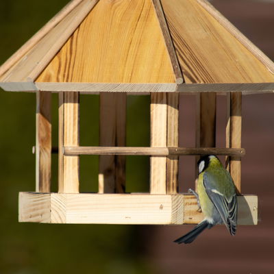 Kiefer-Vogelhaus 'Branded Sechseck', geflammt, 32 x 29 x 36 cm Kiefer-Vogelhaus 'Branded Sechseck', geflammt, 32 x 29 x 36 cm