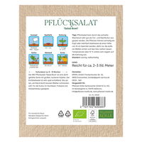 Kölle Bio Saatgut Pflücksalat 'Salad Bowl', grün