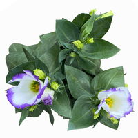 Lisianthus, weiß, Topf-Ø 10,5 cm, 8 Pflanzen