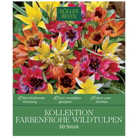 Wildtulpen-Mischung, bunt, 50 Blumenzwiebeln Wildtulpen-Mischung, bunt, 50 Blumenzwiebeln