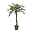 Kunstpflanze Sagopalme mit ca. 24 Wedeln, grün, Topf-Ø 19,5 cm, Höhe ca. 120 cm