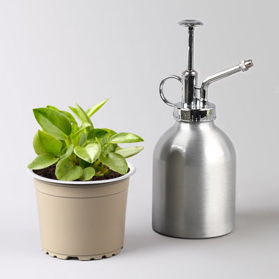 Grünpflanzenset für Grüne Wand, bunter Mix, Topf-Ø 8,5 cm, 12 Pflanzen