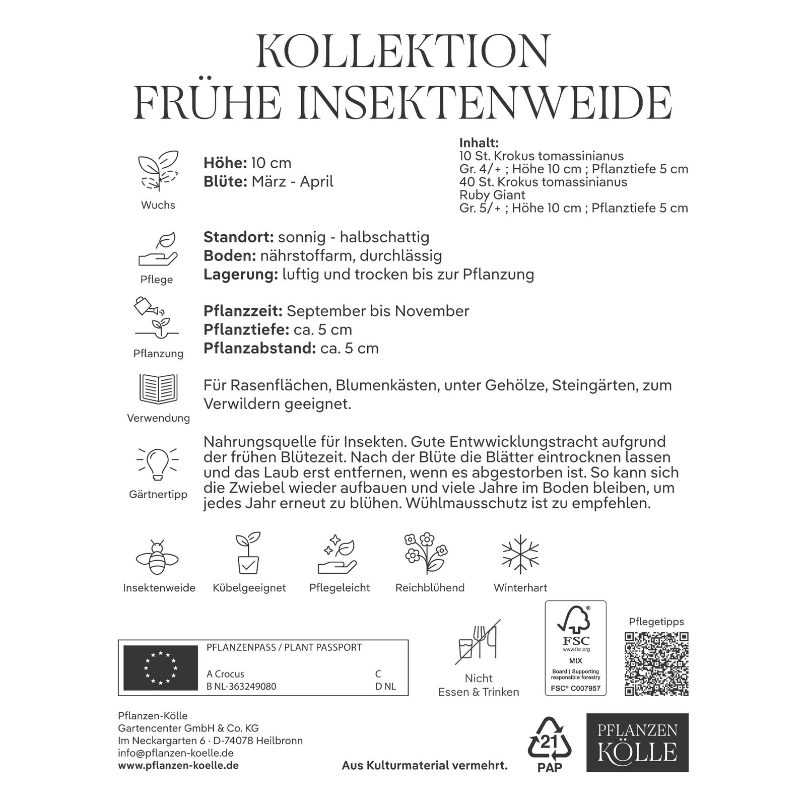 Elfenkrokus-Mischung Kollektion 'Frühe Bienenweide', 50 Blumenzwiebeln Elfenkrokus-Mischung Kollektion 'Frühe Bienenweide', 50 Blumenzwiebeln