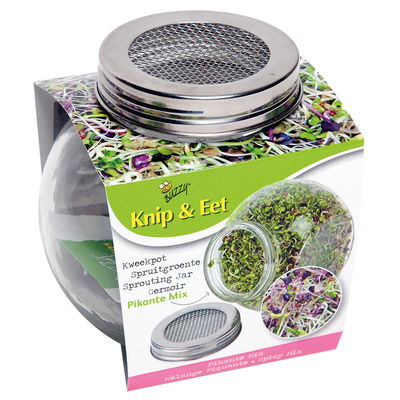 Buzzy Bio Sprossenglas Pikante Salatmischung