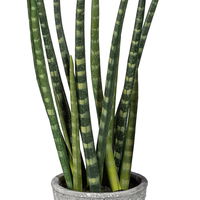 Kunstpflanze Sansevieria, Höhe ca. 45 cm