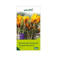 Botanische Krokusse Orange Monarch orange, 10 Blumenzwiebeln
