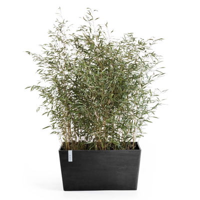 Ecopots Pflanzkasten 'Paris', dunkelgrau, ca. 60 x 26 x H 40 cm Ecopots Pflanzkasten 'Paris', dunkelgrau, ca. 60 x 26 x H 40 cm