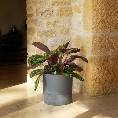 Eda Pflanzgefäß 'AquaDuo XL', grau, ca. Ø 35 x H 35 cm