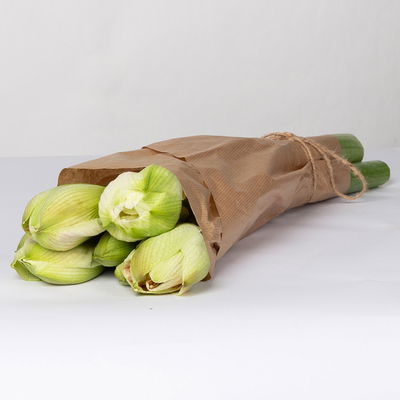 3 cremeweiß-rosa gefüllte Amaryllis 'Nymph' 3 cremeweiß-rosa gefüllte Amaryllis 'Nymph'