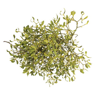 Mistelkrone natur, groß, ca. 45-65 cm Ø