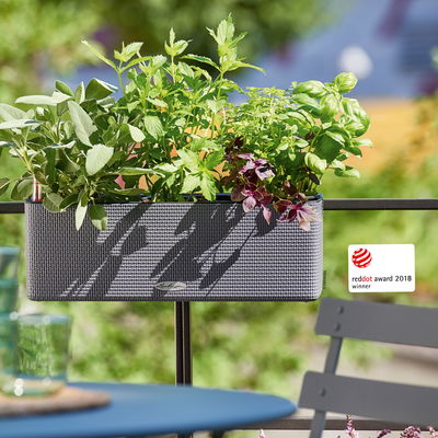 Lechuza 'Cube Color Triple', schiefergrau, ca. 40 x 14 x H 13,5 cm Lechuza 'Cube Color Triple', schiefergrau, ca. 40 x 14 x H 13,5 cm