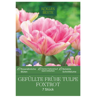Tulpen 'Foxtrott', rosa, 7 Blumenzwiebeln Tulpen 'Foxtrott', rosa, 7 Blumenzwiebeln