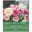 Tulpen 'Blumengrüße - Tulpenliebe', weiß, rosa, Größe 12+, 15 Blumenzwiebeln Tulpen 'Blumengrüße - Tulpenliebe', weiß, rosa, Größe 12+, 15 Blumenzwiebeln