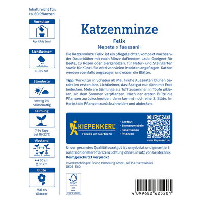 Blumensamen, Katzenminze 'Felix', lila