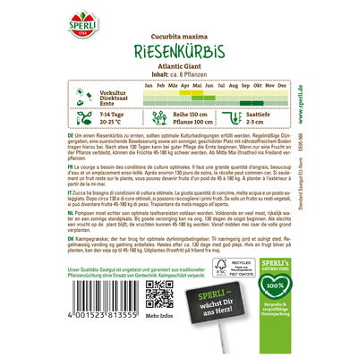 Sperli Gemüsesamen, Riesenkürbis 'Atlantic Giant'