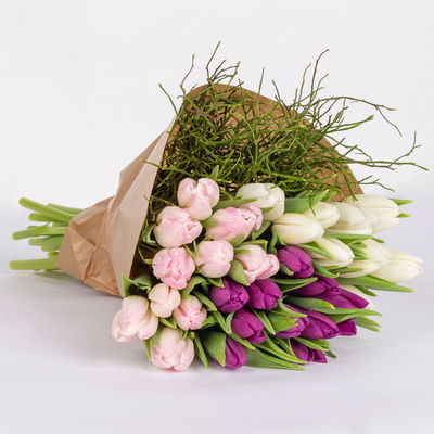 Schnittblumen-Mix aus 30 Tulpen in weiß, rosa & lila mit Heidelbeere Schnittblumen-Mix aus 30 Tulpen in weiß, rosa & lila mit Heidelbeere