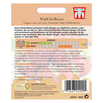Walderdbeere Woodland / „K“ - Samen Walderdbeere Woodland / „K“ - Samen