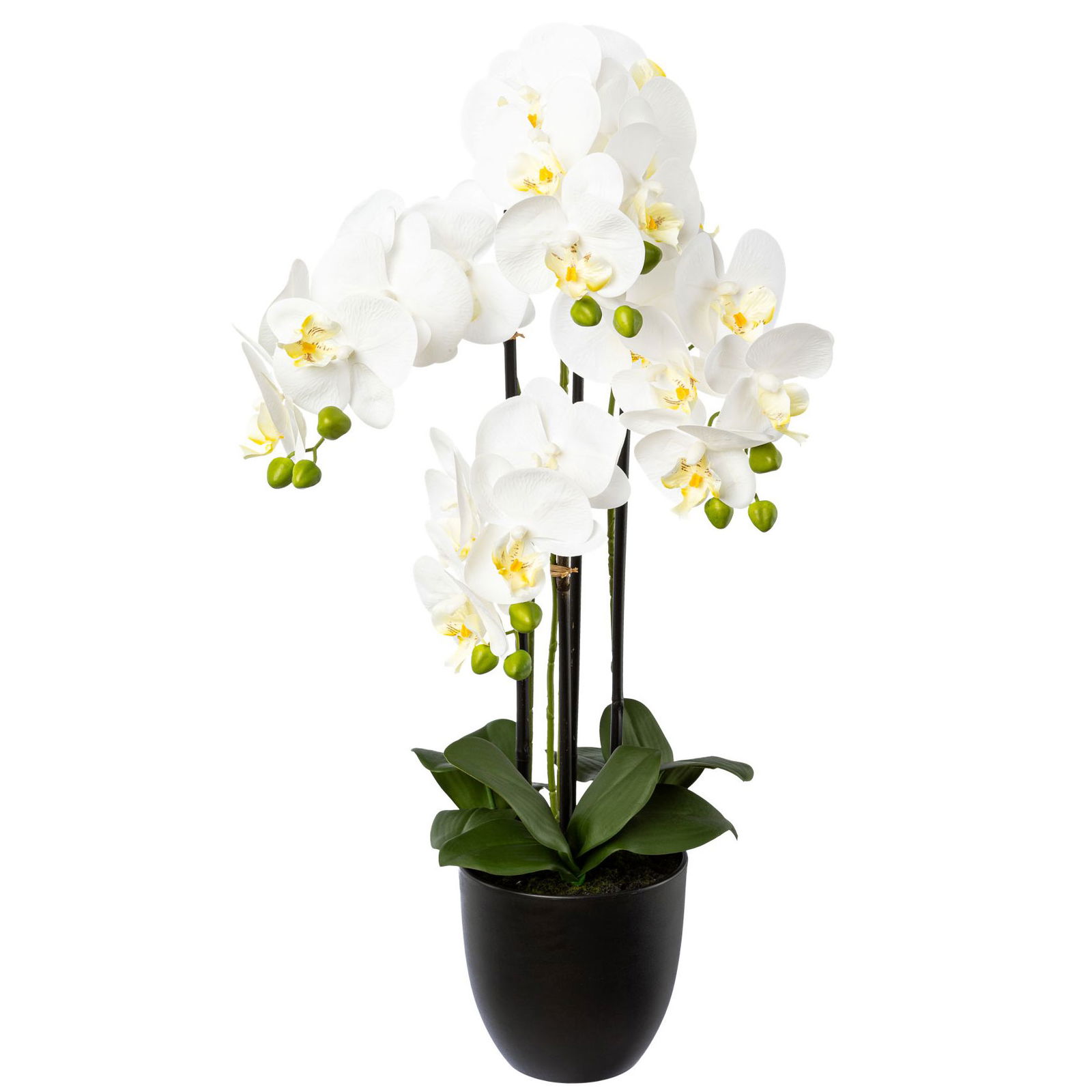 Kunstpflanze Phalaenopsis im Topf, Höhe ca. 69 cm