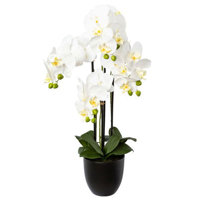 Kunstpflanze Phalaenopsis, weiß, Höhe ca. 69 cm Kunstpflanze Phalaenopsis, weiß, Höhe ca. 69 cm