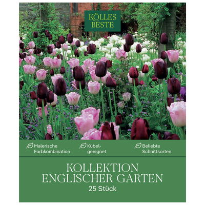 Tulpenmischung 'Englischer Garten', weiß, Größe 12+, 25 Blumenzwiebeln Tulpenmischung 'Englischer Garten', weiß, Größe 12+, 25 Blumenzwiebeln