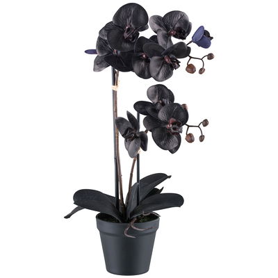 Kunstpflanze  Phalaenopsis, schwarz, Höhe ca. 53 cm
